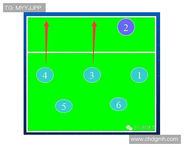 深入分析北京排球队的节奏打法与战术特点及其对比赛的影响